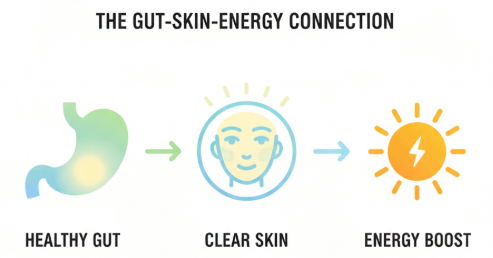 gut → skin → energy - PrimeBiome